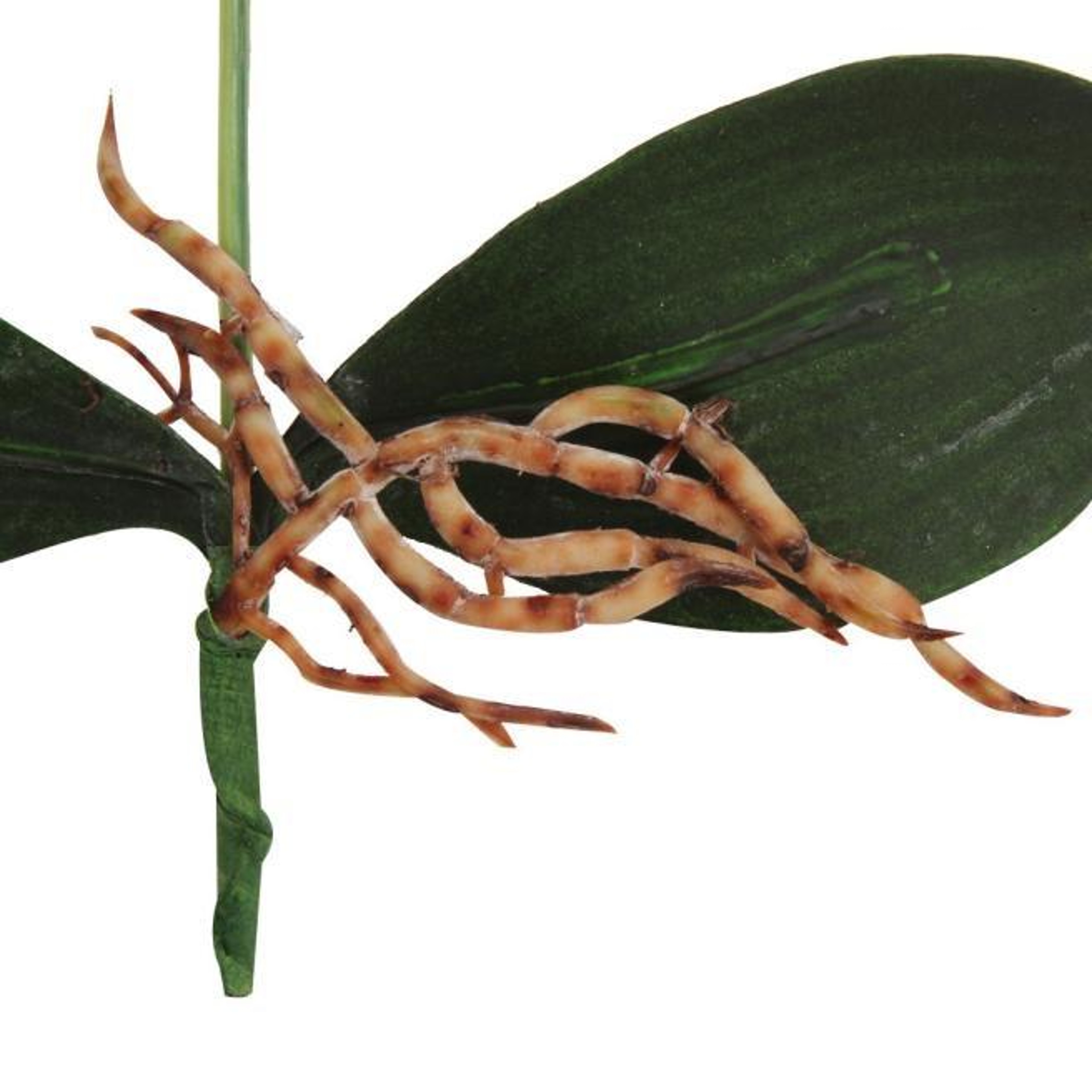 Artificial Orchid Plant In Ceramic Flower Pot Decorative Faux Potted Floral Arrangement 3