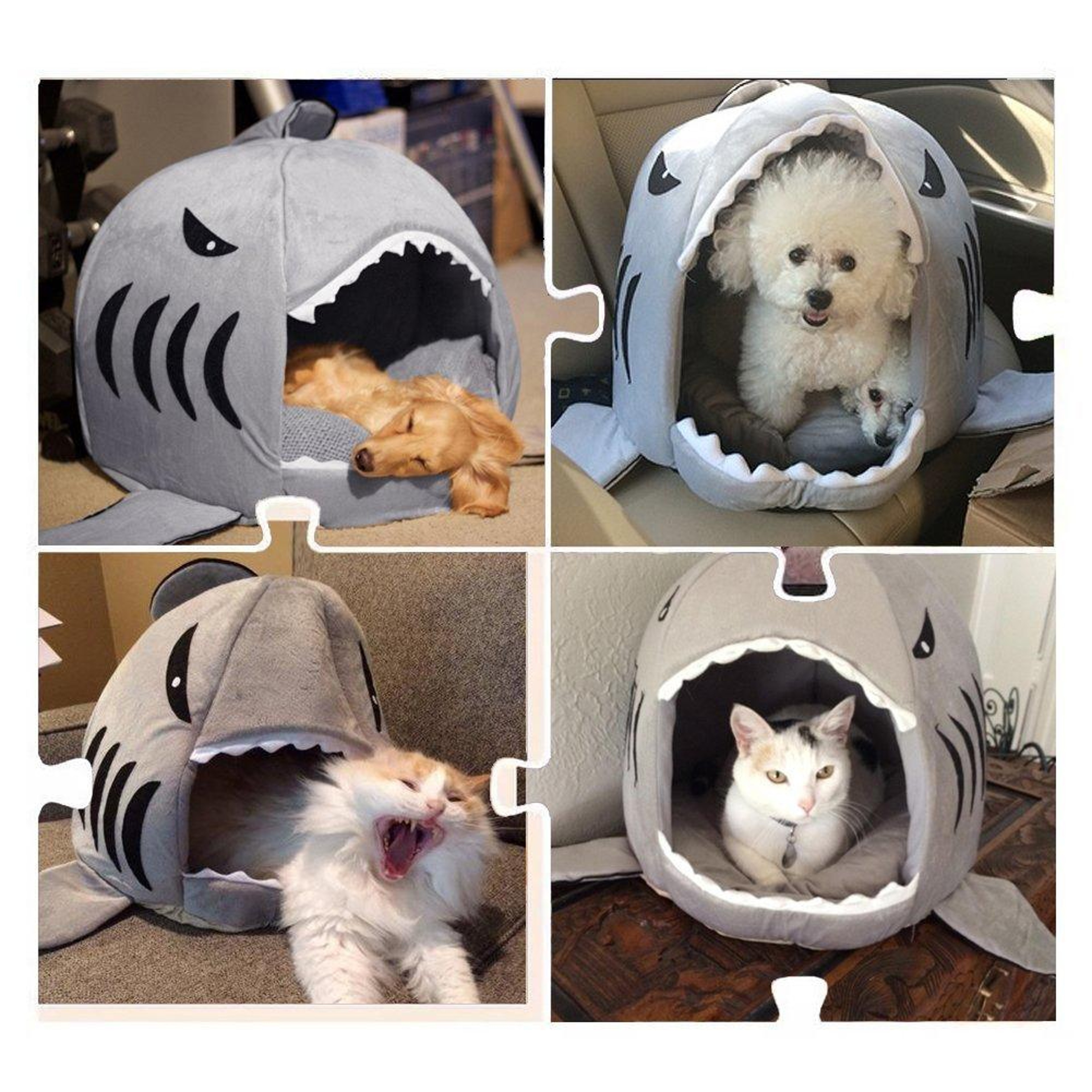 Cozy Shark Cat Bed And Pet Cave Bed With Removable Washable Cushion For Cats And Small Dogs 8