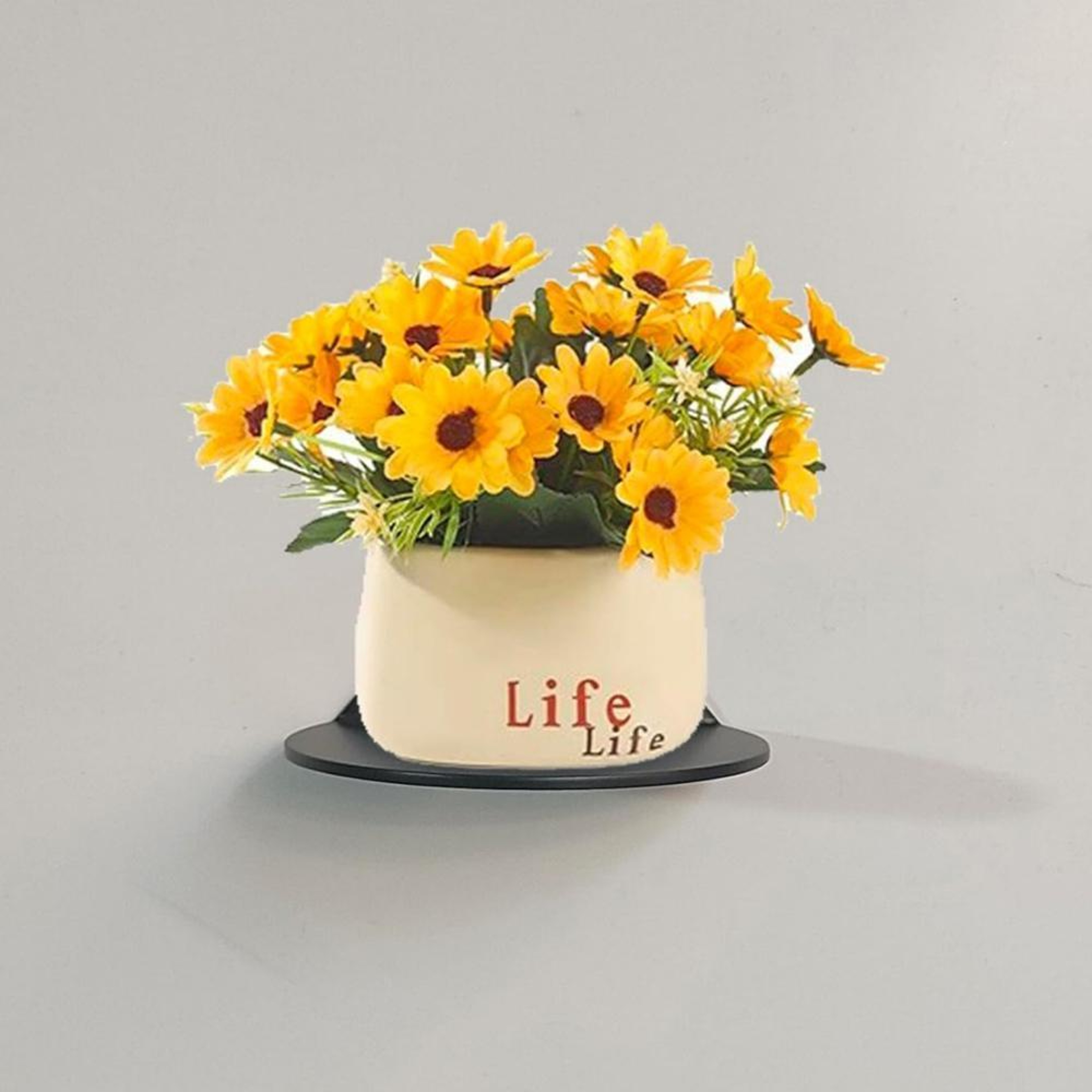 Wall Mounted Acrylic Plant Shelf And Small Display Stand 3