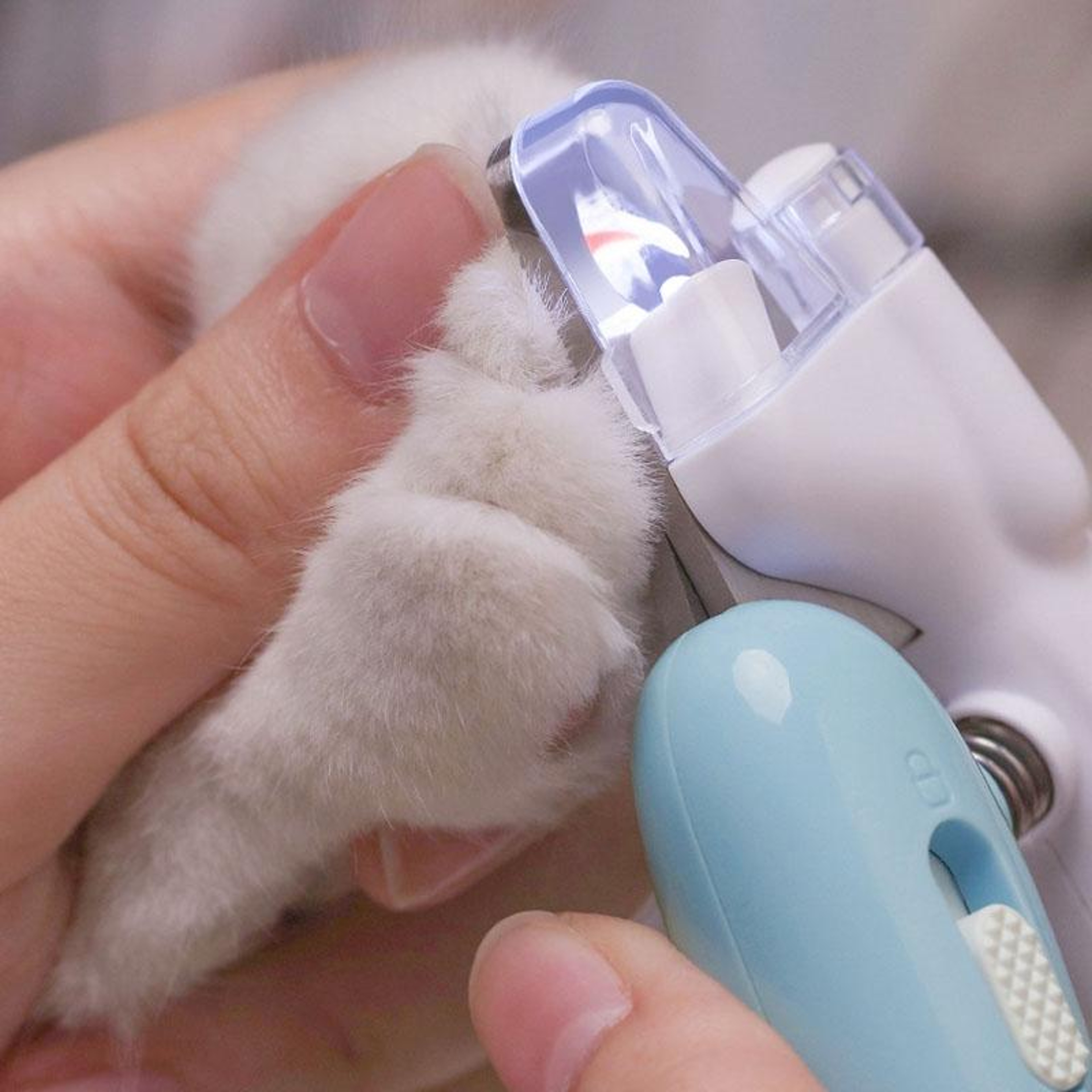 LED Pet Nail Clipper For Dogs And Cats With Nail Catcher And Stainless Steel Blade 9