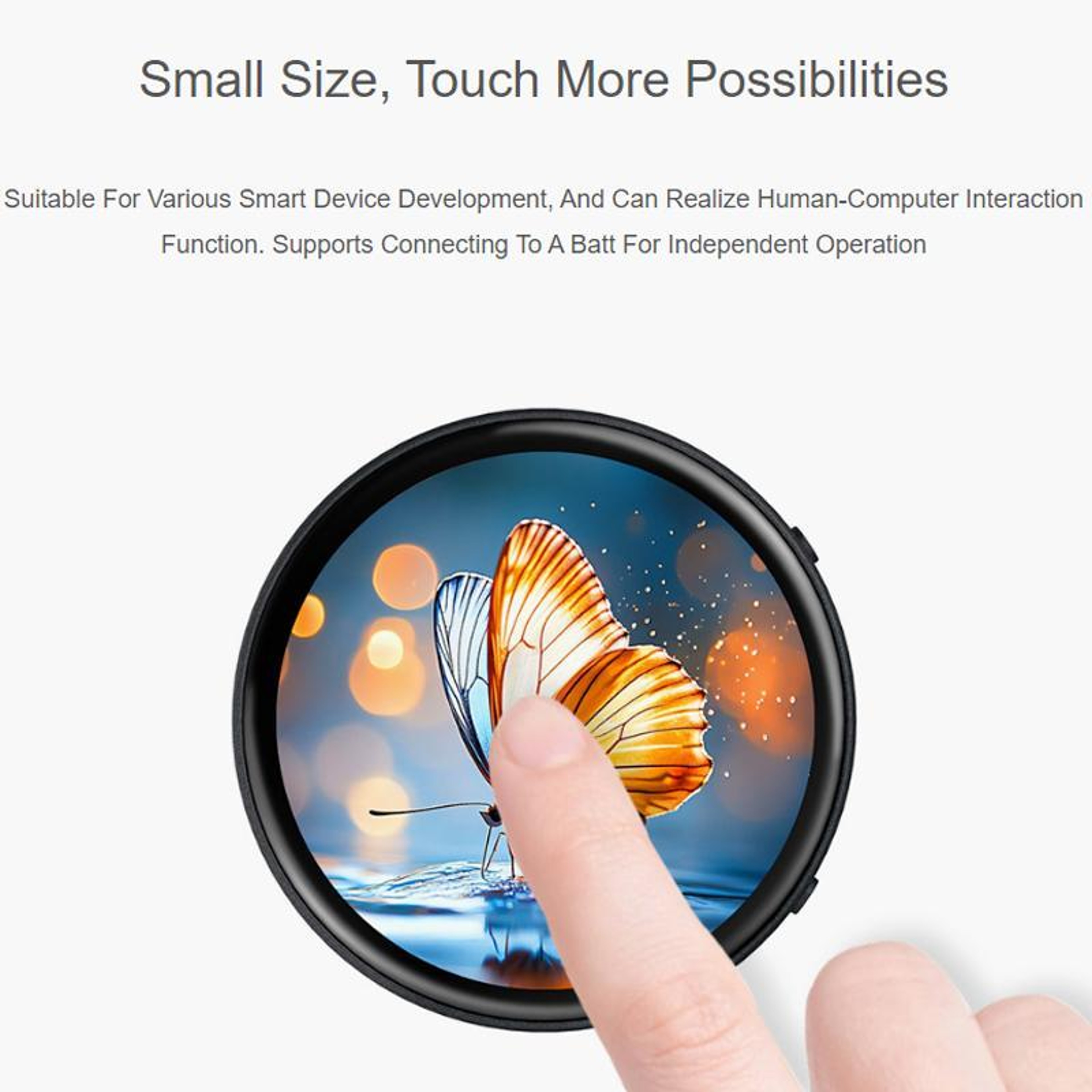 AMOLED Development Board with 1.75-Inch Touch Display and 466x466 Resolution – view 6