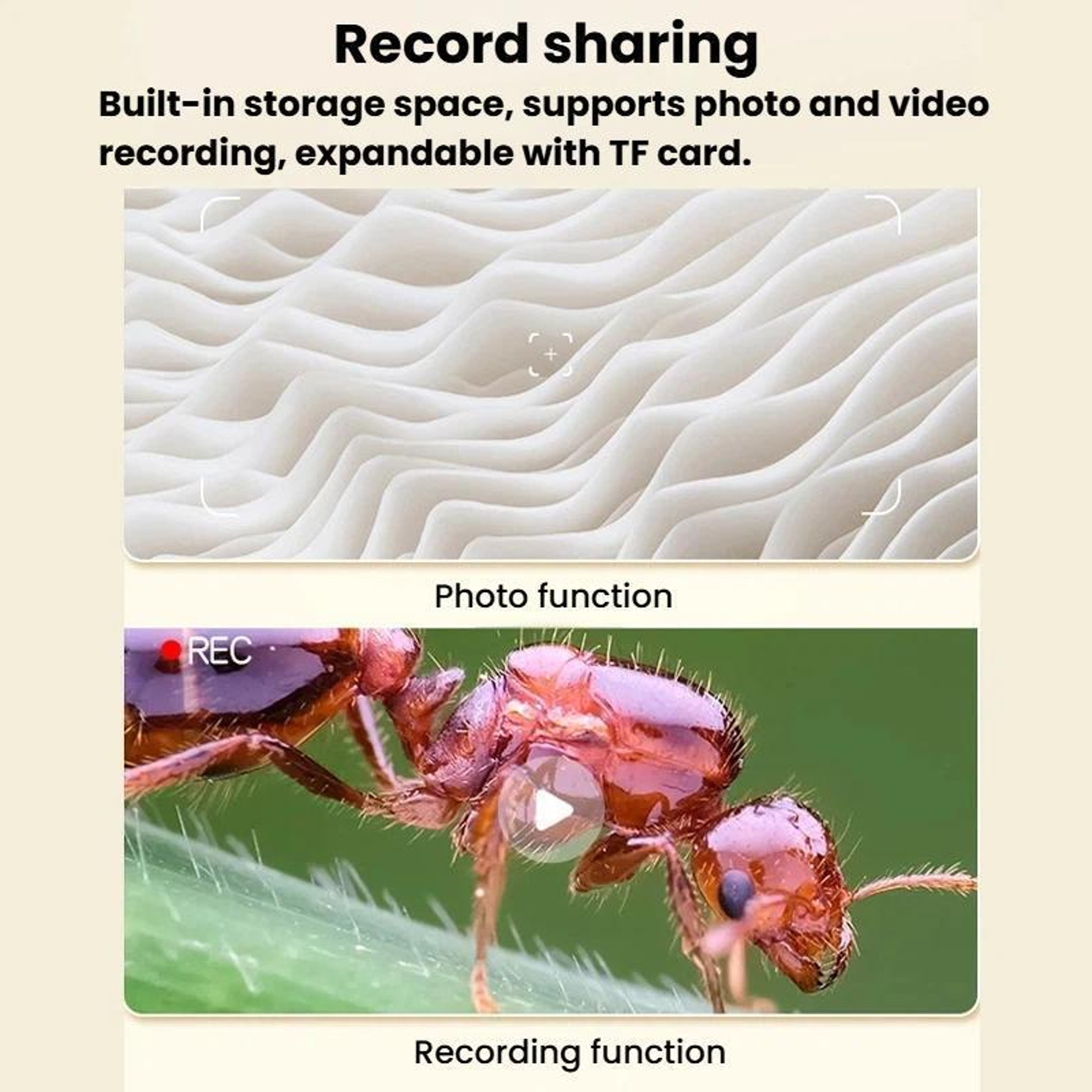 Kids Digital Microscope With 2 Inch IPS Screen 1080P Camera And Rechargeable Battery 6