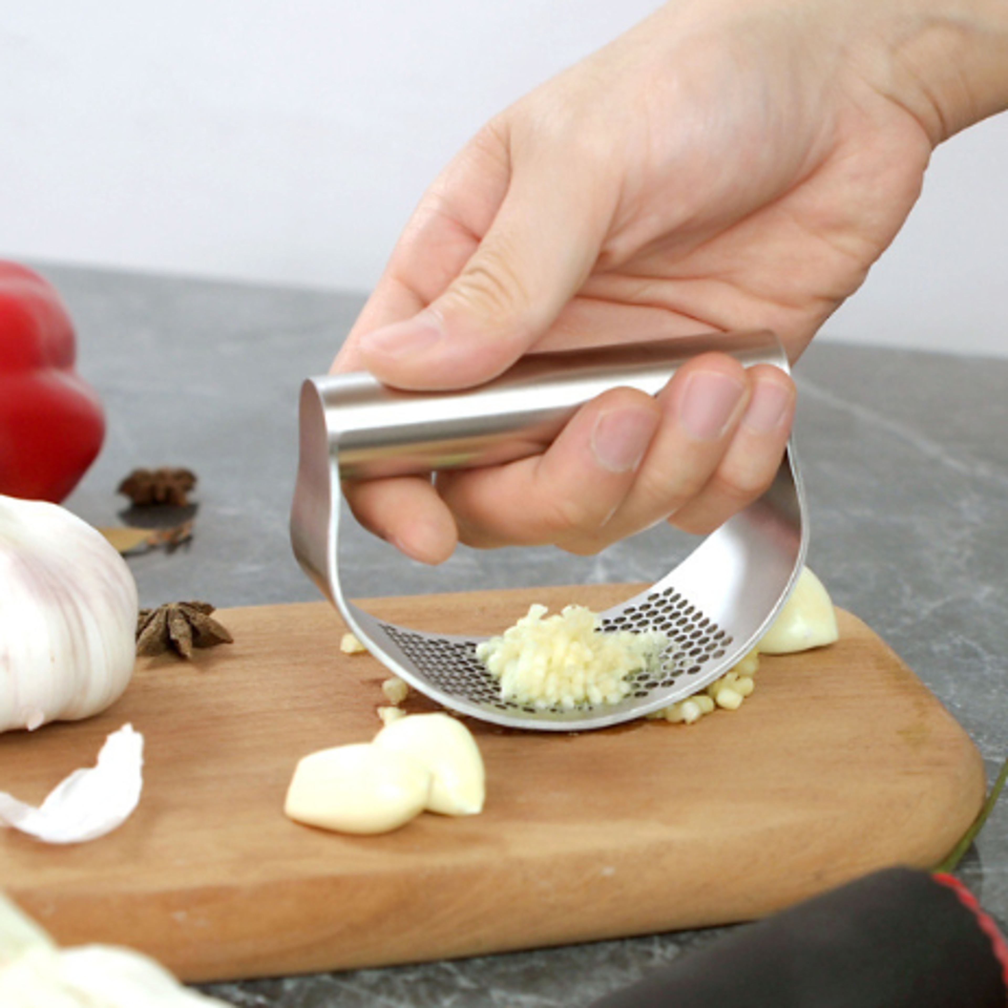 Stainless Steel Garlic Press 1