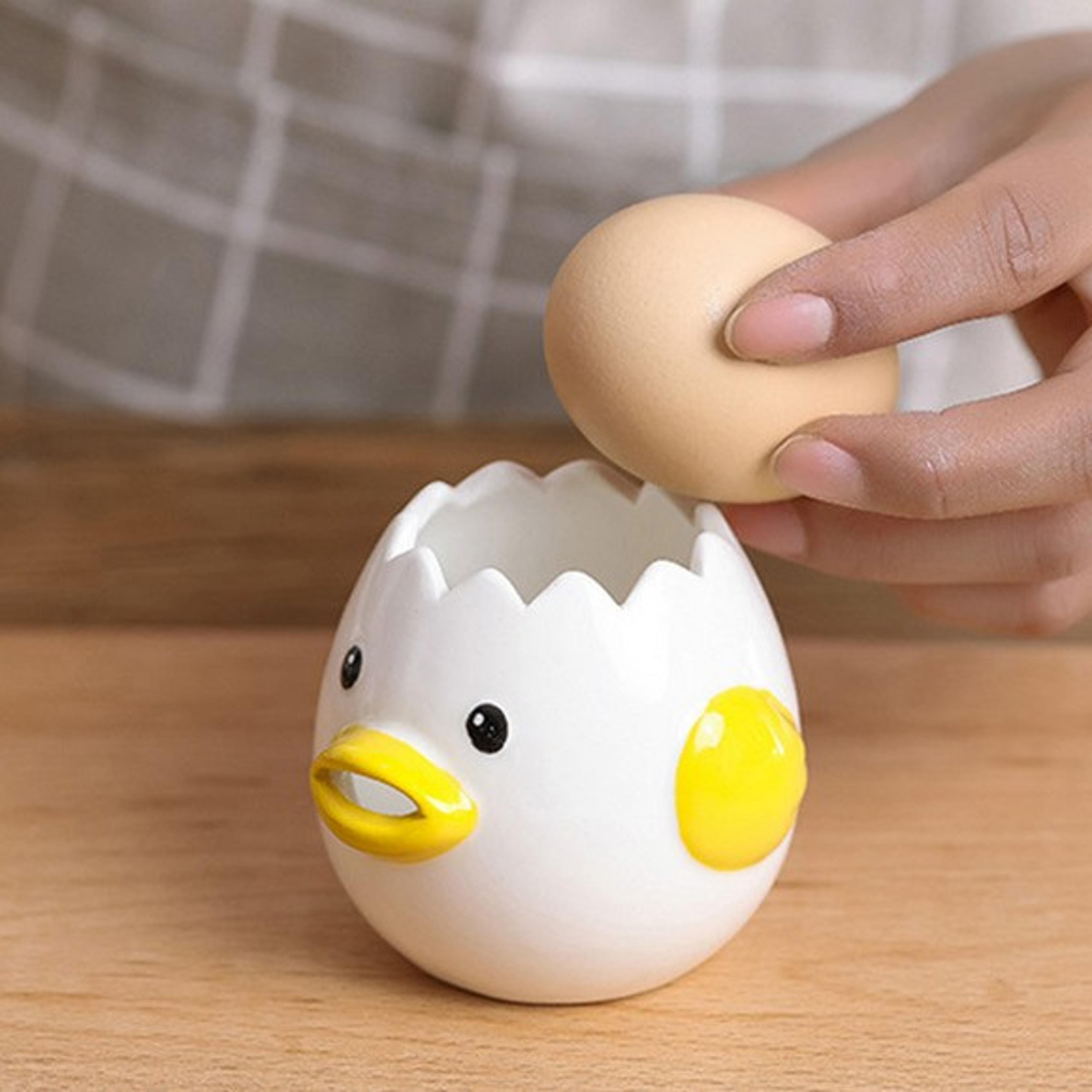 Egg Separator