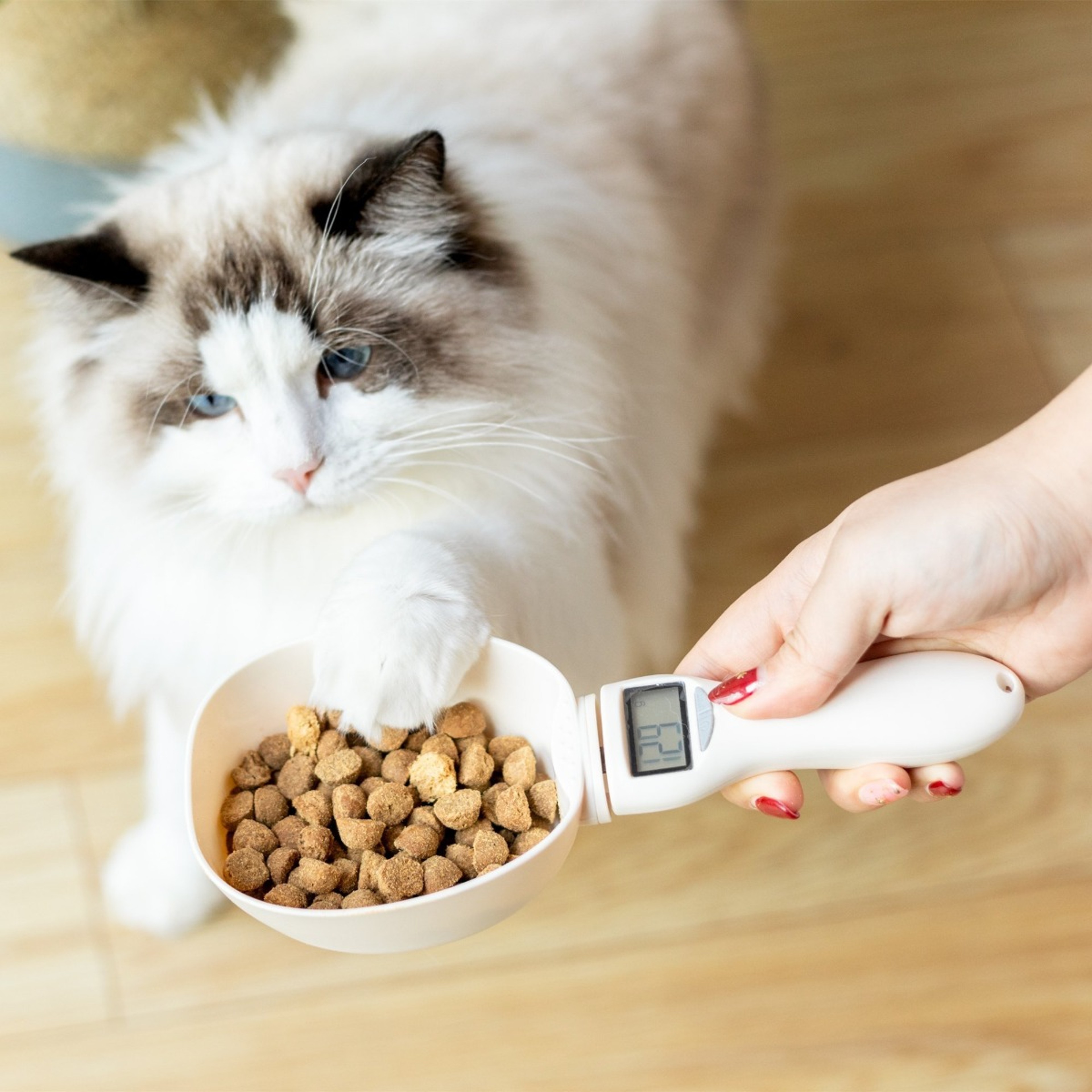 Pet Food Measuring Scoop – view 1