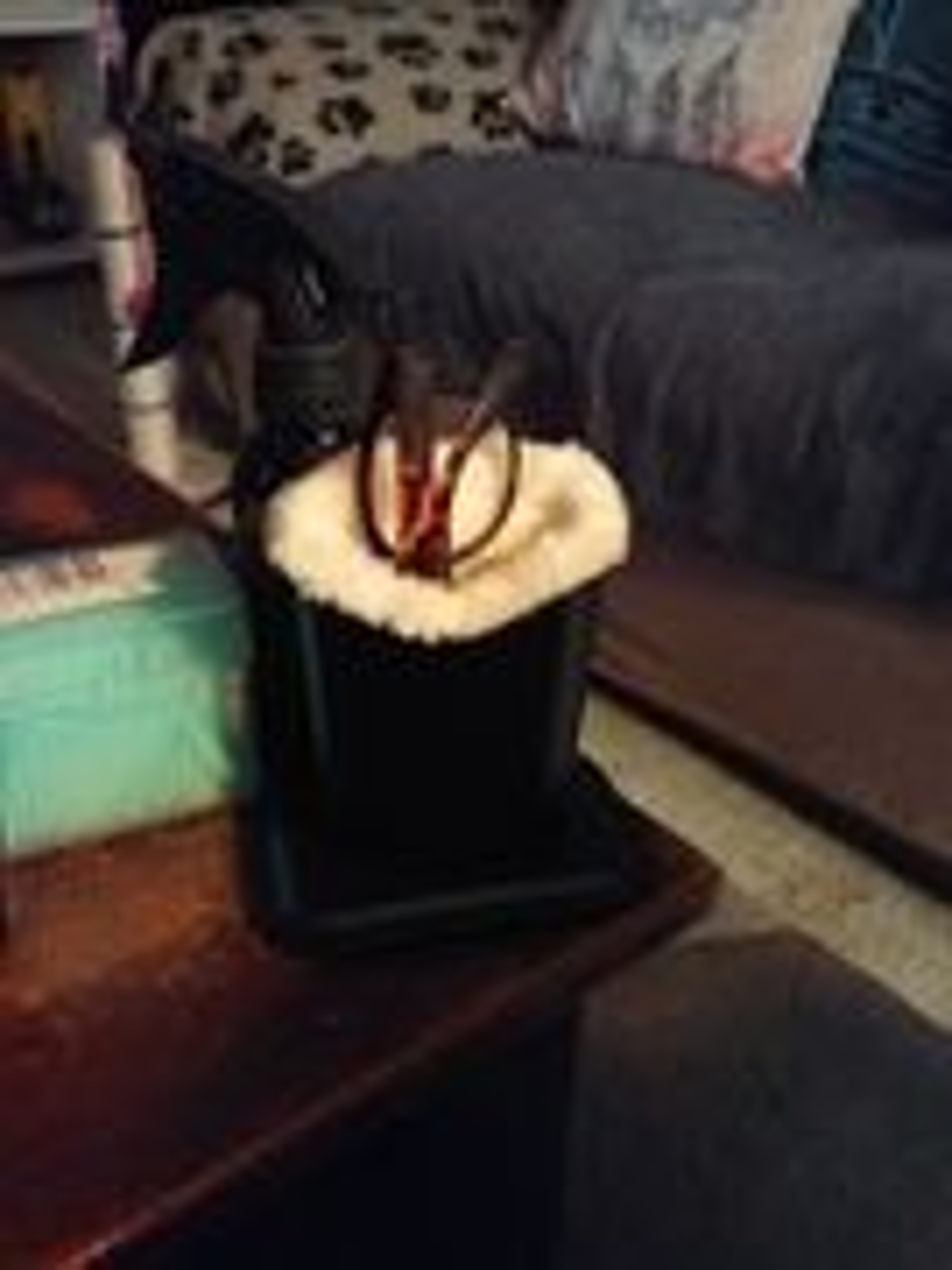 Luxury Faux Fur Eyeglass Holder 2