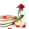 Enchanted Rose Flower Lamp 2