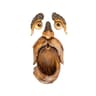 Tree Face Bird Feeder1.png
