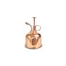Mini Brass Plant Spray Mister (4).jpg