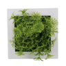 Succulent Wall Hanger Frame (13).png
