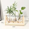 Vintage Hydroponic Plant Vase 6