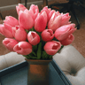 artificialtulipsblush.png