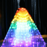 bellydanceledisiswingsrainbow.png