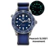 Automatic Titanium Luxury Watch With Sapphire Crystal Luminous Dial 13