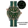 Automatic Titanium Luxury Watch With Sapphire Crystal Luminous Dial 14