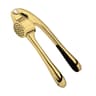 Premium Zinc Alloy Garlic Press And Ginger Crusher Kitchen Tool 6