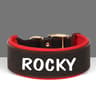 bsGbWide-Personalized-Dog-Collar-PU-Leather-Customized-Dogs-Tag-Collars-Soft-Pet-Collar-for-Small-Medium.jpg