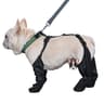 F1FTDog-Shoes-Waterproof-Adjustable-Dog-Boots-Pet-Breathbale-Shoes-for-Outdoor-Walking-Soft-French-Bulldog-Shoes.jpg