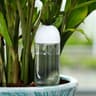 6DMxAutomatic-irrigation-Tool-Indoor-Drip-Watering-System-Elk-Christmas-Tree-Potted-Flower-Plant-Waterers-For-Planting.jpg