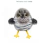 Interactive Flapping Bird Cat Toy Rechargeable Chirping Plush For Indoor Cats 8