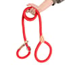 Heavy Duty Slip Lead Dog Leash For Large Dogs Nylon Rope Training Lead 5