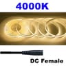COB LED Strip Light 12V 24V High Density Flexible Tape Light 8