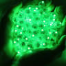Mini LED Balloon Lights With Colorful Flashing Effects For Party Decorations 9