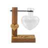 dKqoAvocado-Seed-Starter-Vase-Transparent-Glass-Vase-Vase-for-Growing-Plant-Glass-Seed-Growing-Kit-for.jpg