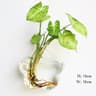 wXCYFashionWallHangingGlassFlowerVaseTerrariumWallFishTankAquariumContainerFlowerPlante