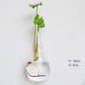 6GuAFashionWallHangingGlassFlowerVaseTerrariumWallFishTankAquariumContainerFlowerPlante