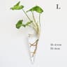 dKn3FashionWallHangingGlassFlowerVaseTerrariumWallFishTankAquariumContainerFlowerPlante
