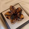 Princess Flower Hair Clip Brown Beige Lightweight Plastic Fashionable Hair Accessories 5
