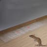 Transparent Strong Adhesive Mouse Trap Glue Board For Indoor Rodent Control 0