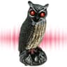 Option image