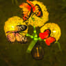 Option image