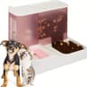 Automatic 2in1 Pet Feeder Keep Your Cat And Dog Hydrated And Fed 7