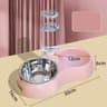 Automatic Pet Feeder And Pet Water Dispenser 2 In 1 Cat Dog Feeding Station 4