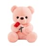 Rose Bear Plush Stuffed Teddy Bear Romantic Gift For Girlfriend  Anniversary 8