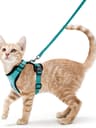 Adjustable Cat Harness And Leash For Walking EscapeProof EasyWear Design For Safe Outdoor Adventure 10
