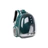 Cute Clear Cat Backpack Carrier7png