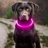 Shop USB Rechargeable Dog Collar