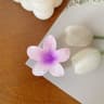 Tropical Bloom Mini Flower Hair Claw Clips Hawaiian Gradient Hair Clips For Everyday Style 3