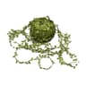 Option image
