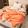Soft Imitation Lambswool Blanket Autumn Winter Queen Blanket High Quality Milk Fleece Sofa Blanket  5