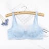 Lace Push Up Bra Women Sexy Hollow Out Lingerie Lady Lace Transparent Underwear Female Embroidery S 6