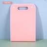 Pocket File Folders Portable A4 Letter Size Macaron Color Accordion Document Organizer For Office C 13