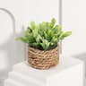 Faux Greenery For Home Decor Potted Eucalyptus Plant For Elegant LowMaintenance Spaces 7