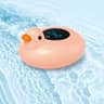 Floating Digital Water Baby Bath Temperature Meter LED Display Safety Cartoon Tester For Infants 6