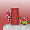 Stainless Steel Mini Insulated Coffee Thermal Mug Vacuum Flask For Hot And Cold 316 Steel LeakProof
