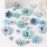 Option image